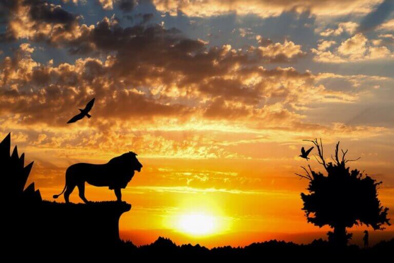 How to Explain the Circle of Life to Children