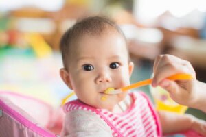 The Development of Newborn Senses
