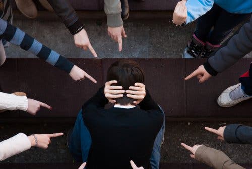 Dominance and Submission in School Bullying
