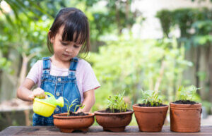 Invisible Learning: What You Should Know