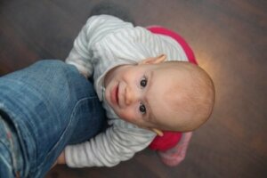 Theories that Explain Emotional Development