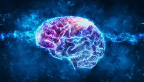 Good Eating Habits to Encourage Cognitive Performance