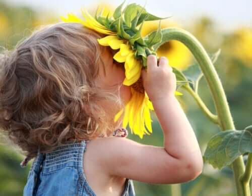 A toddler smelling a sunflower.