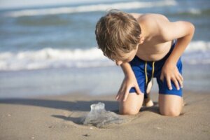 Jellyfish Stings in Children: What You Need to Know