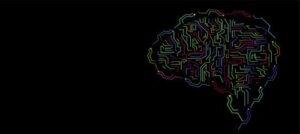 The Concept of Intelligence and Its Evolution