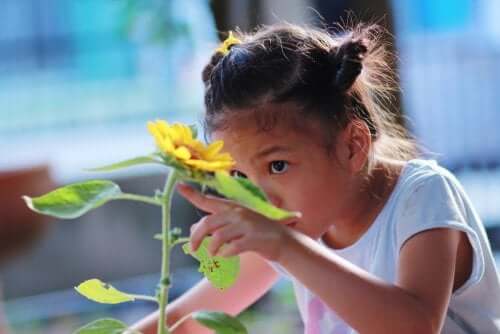 How Do Children Acquire New Knowledge?