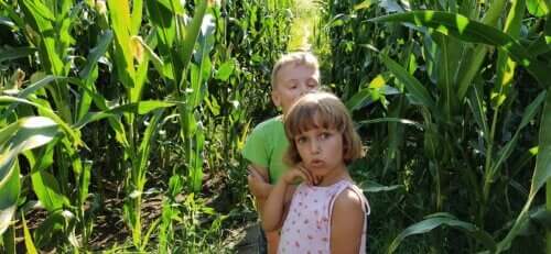 The 7-Year-Old Crisis: What Does It Involve?
