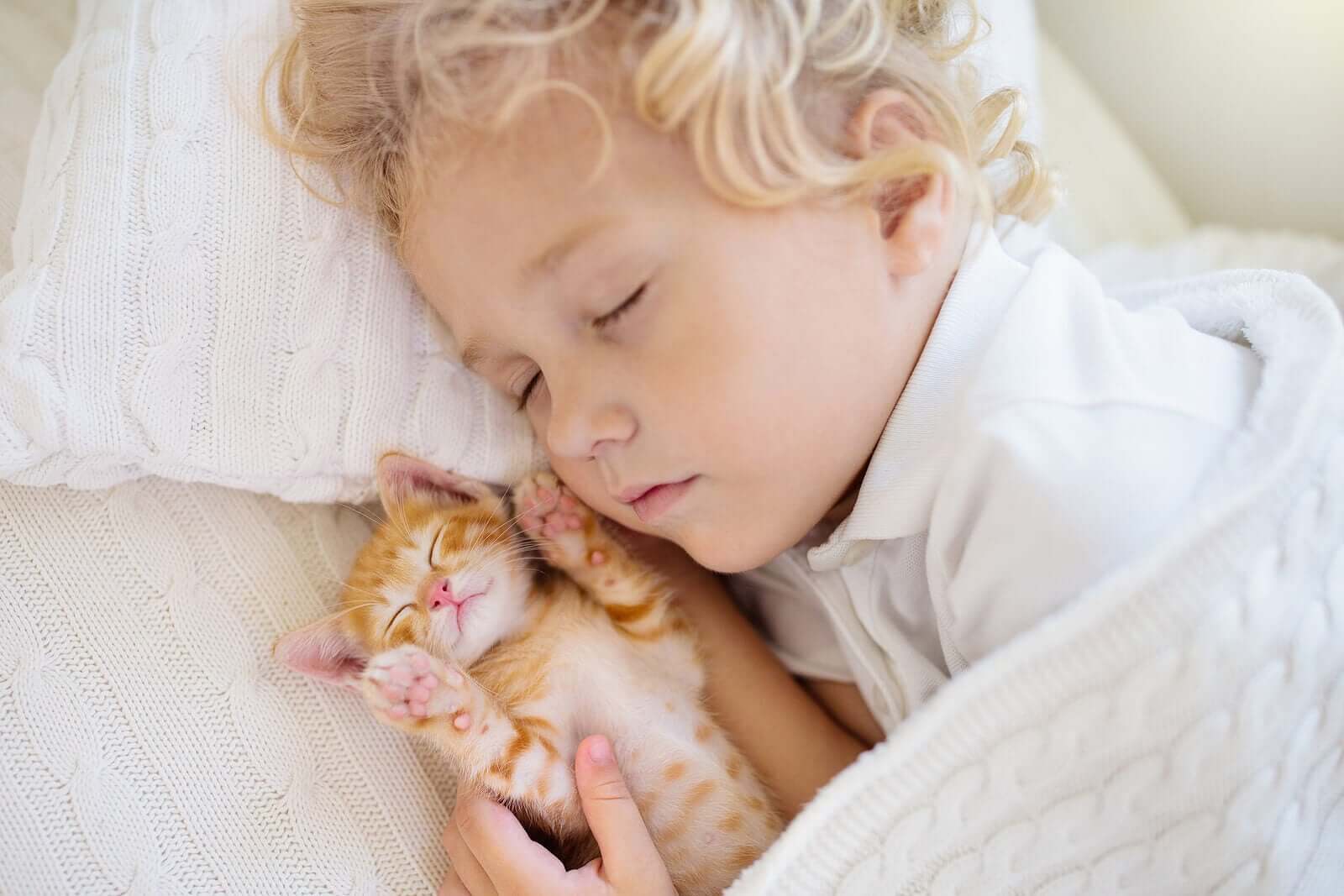 How Do Babies' Sleep Patterns Evolve as They Grow?
