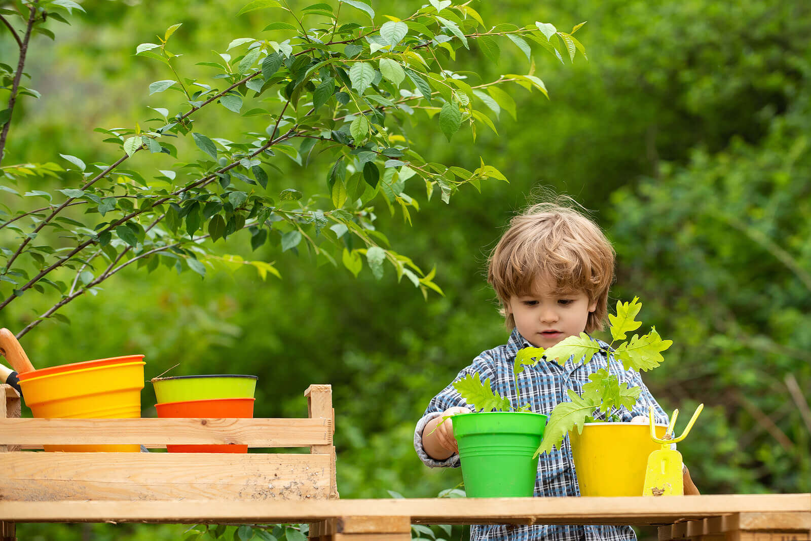 Environmental Educational Activities for the Whole Family