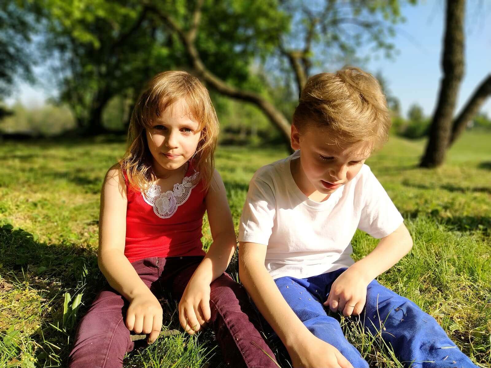 The Different Theories that Explain Social Development