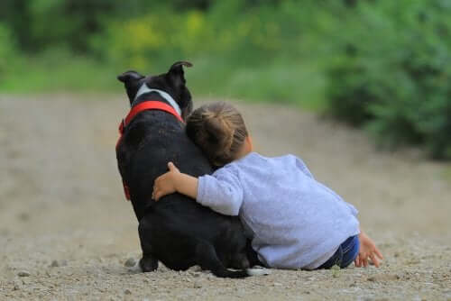Raise Awareness Among Children About Animal Adoption