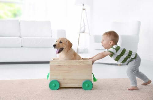 Raise Awareness Among Children About Animal Adoption