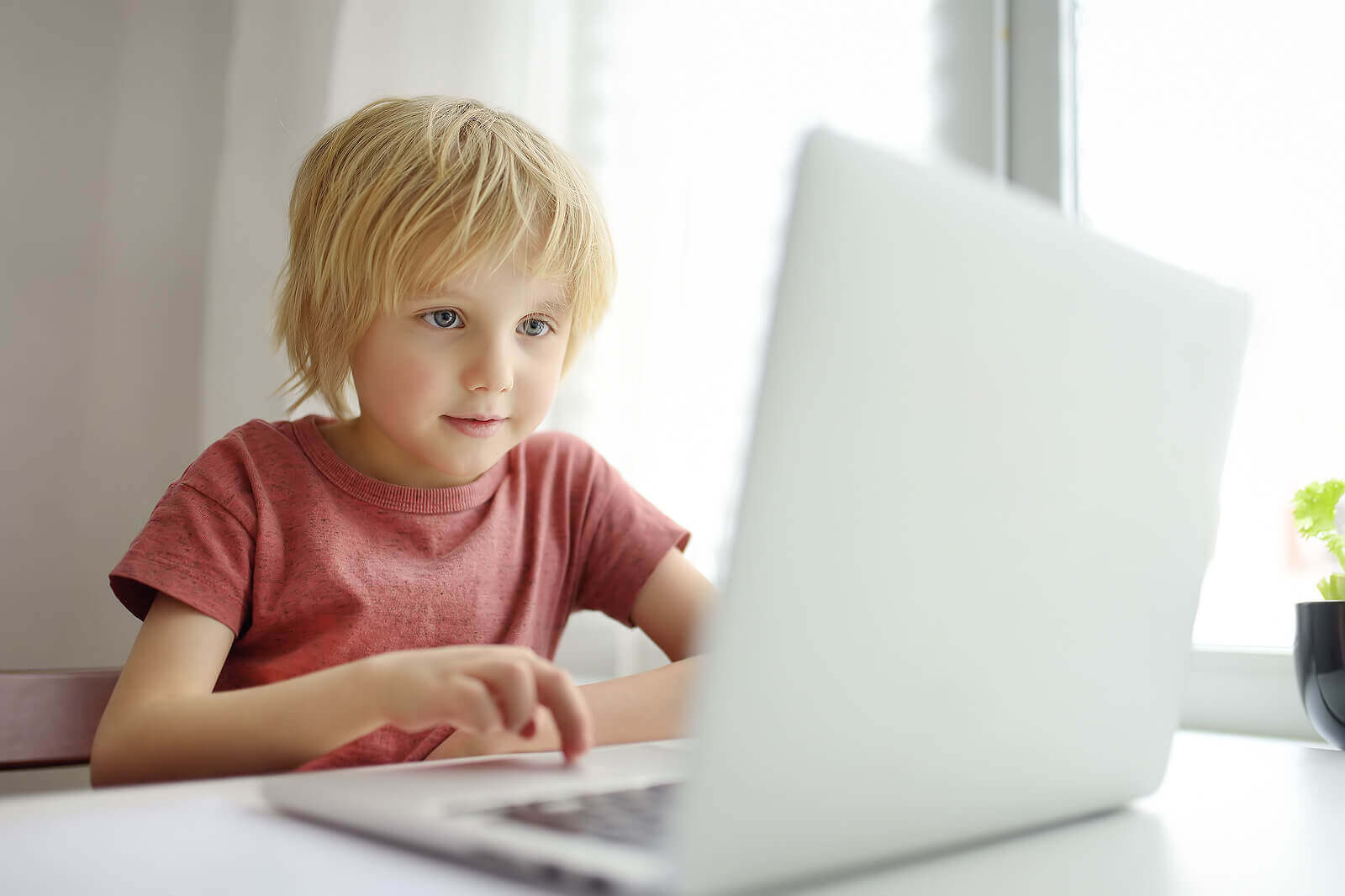 A small child using a laptop computer.