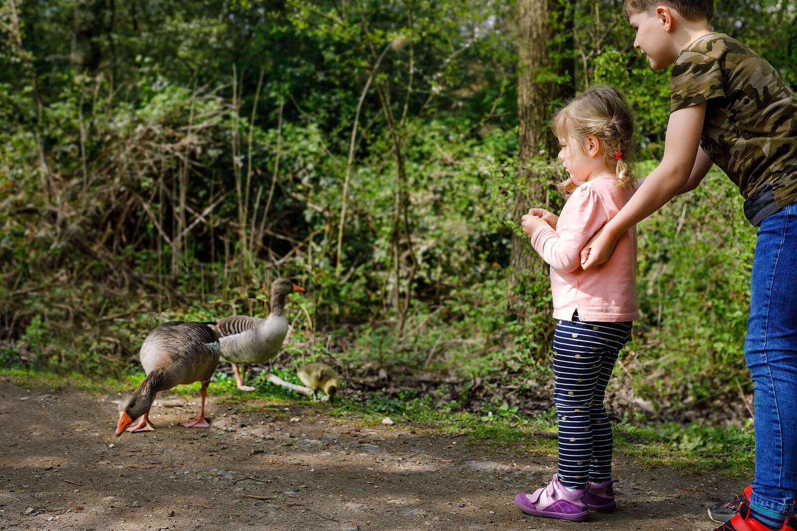 My Child Is Afraid of Birds: What Do I Do?