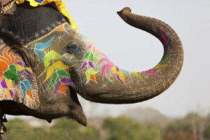 The Patchwork Elephant: A Children's Literature Favorite