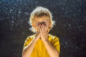 7 Effective Home Remedies for Dust Mites