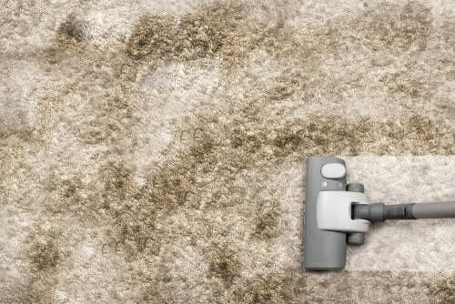 7 Home Remedies for Dust Mites
