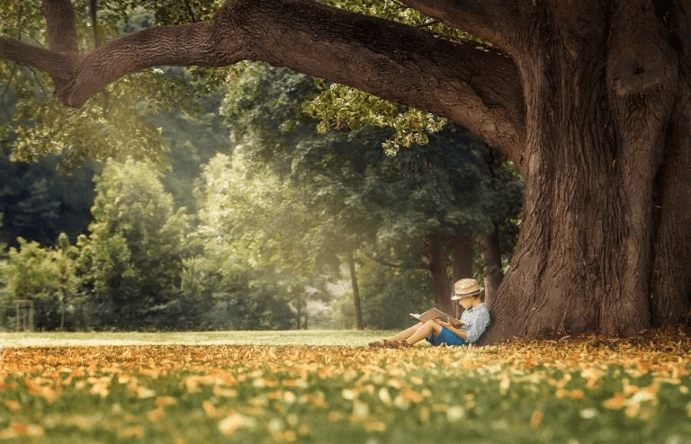 Recommended Children's Books For Ages Seven to Nine