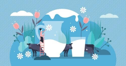 5 Facts About Lactose that You Should Know