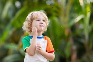 Allergies to Bites and Stings in Infants and Children