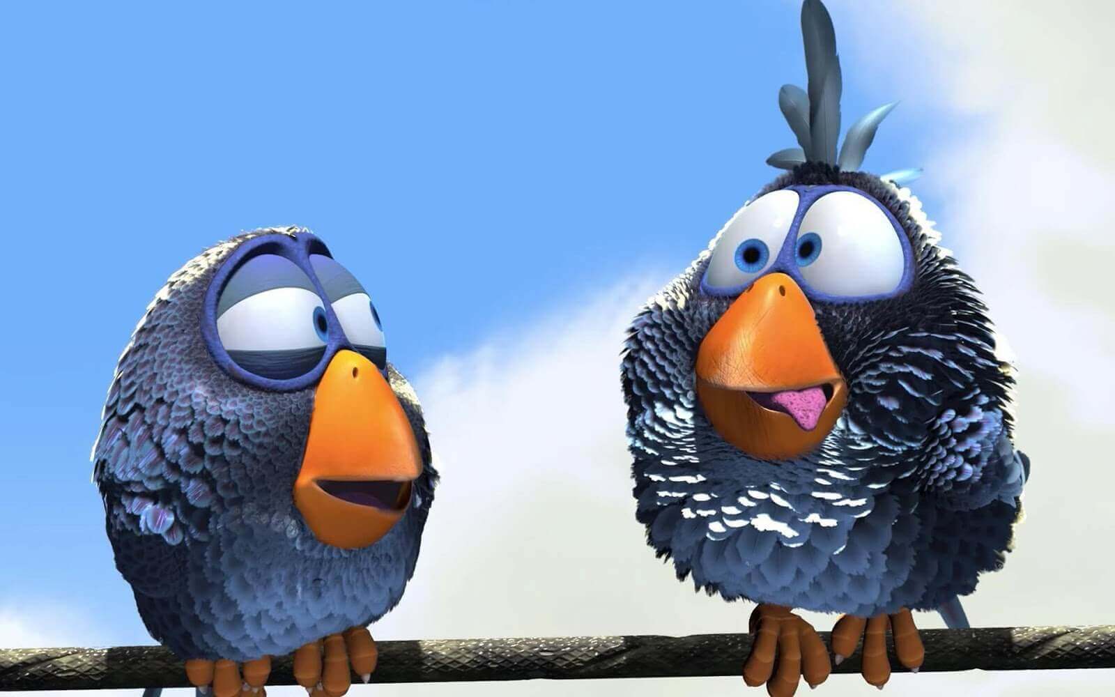 For the Birds: A Short Film to Reflect on Diversity