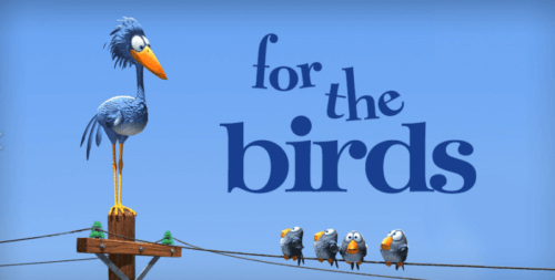 For the Birds: A Short Film to Reflect on Diversity