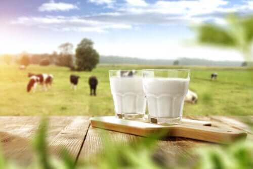 Is It Unnatural to Drink Milk from Other Animals?