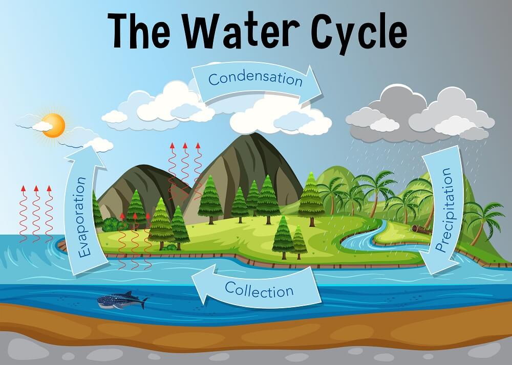 How to Explain the Water Cycle to Children
