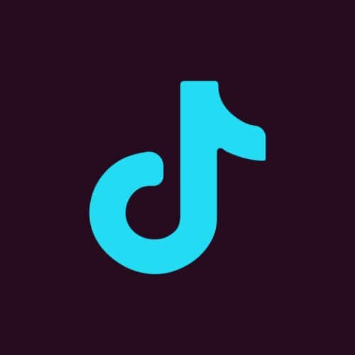 Social Media Platforms: Is TikTok the Most Popular One?