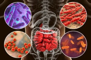 My Baby's Gut Flora: Why Does It Matter?