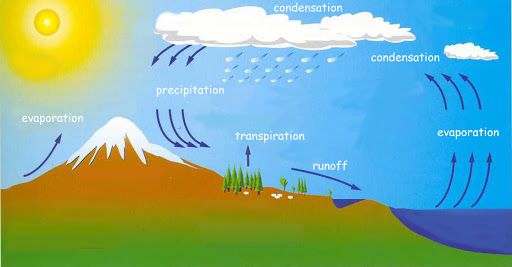 How to Explain the Water Cycle to Children