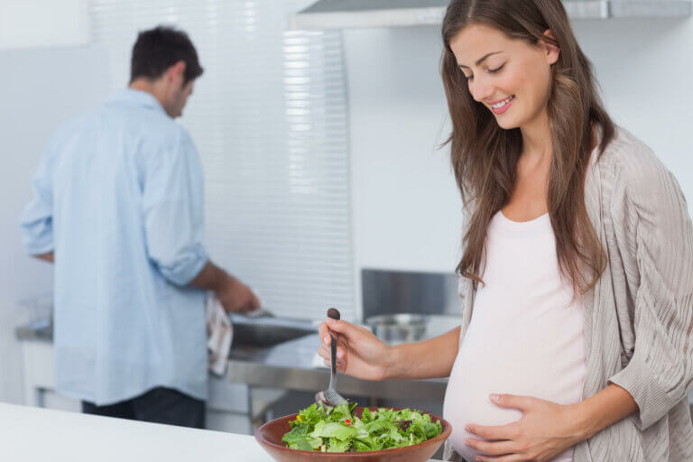 Basic Nutrients for a Healthy Pregnancy