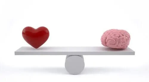 Learn About Emotional Education Programs