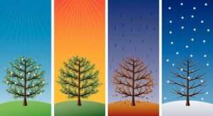 3 Crafts About the Seasons of the Year