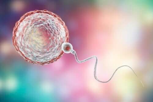 4 Interesting Facts About Ovules
