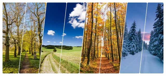 3 Crafts About the Seasons of the Year