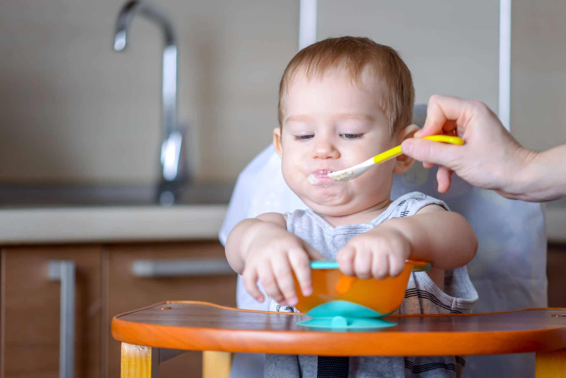Homemade Baby Food Ideas: Choosing the Right Cereal