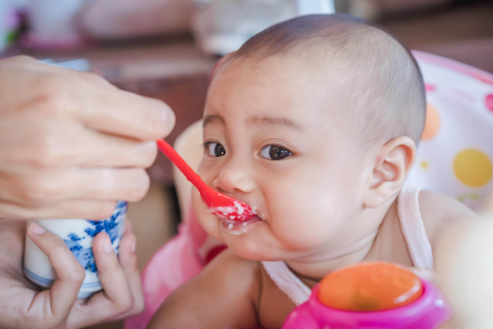 Gut Microbiome in Children: How Diet Influences Its Development