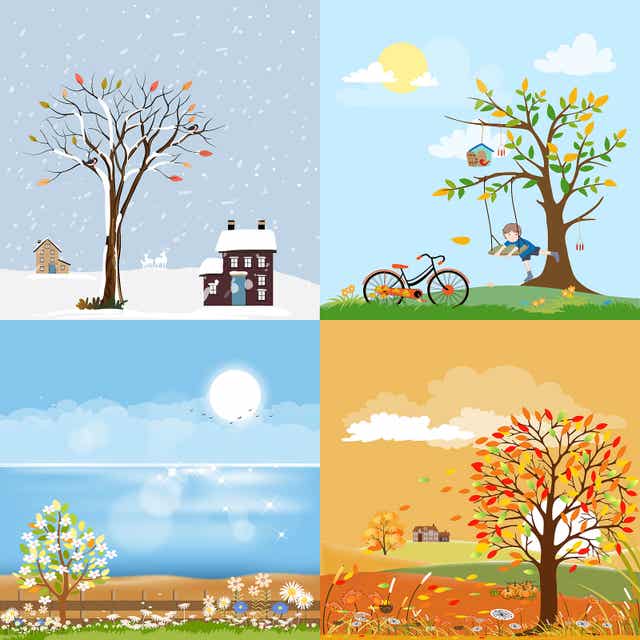 3 Crafts About the Seasons of the Year