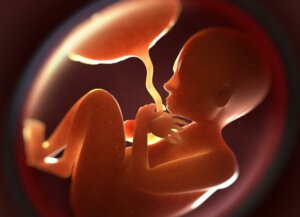 How an Aging Placenta Affects the Baby