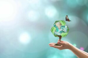 What Are Biodegradable Pregnancy Tests?