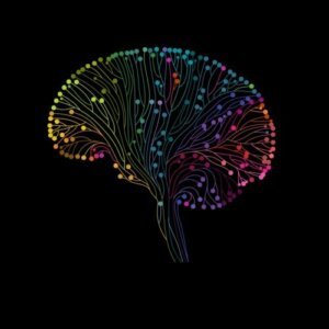 Neuroplasticity and Learning: A Beautiful Relationship