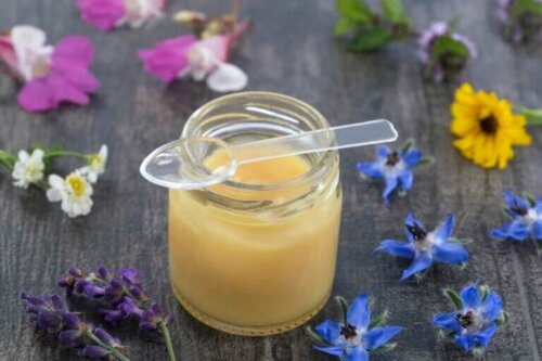 Royal Jelly During Pregnancy: Is It Recommended?