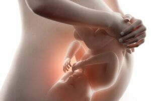 Should You Talk to Your Baby in the Womb?