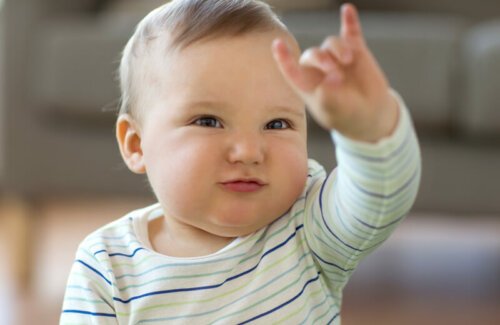 Baby Sign Language: Non-Verbal Communication