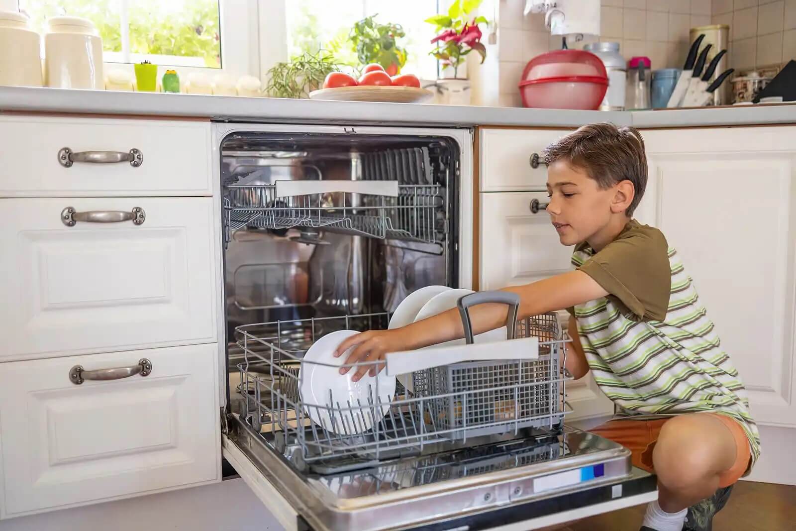 Boy dishwasher.
