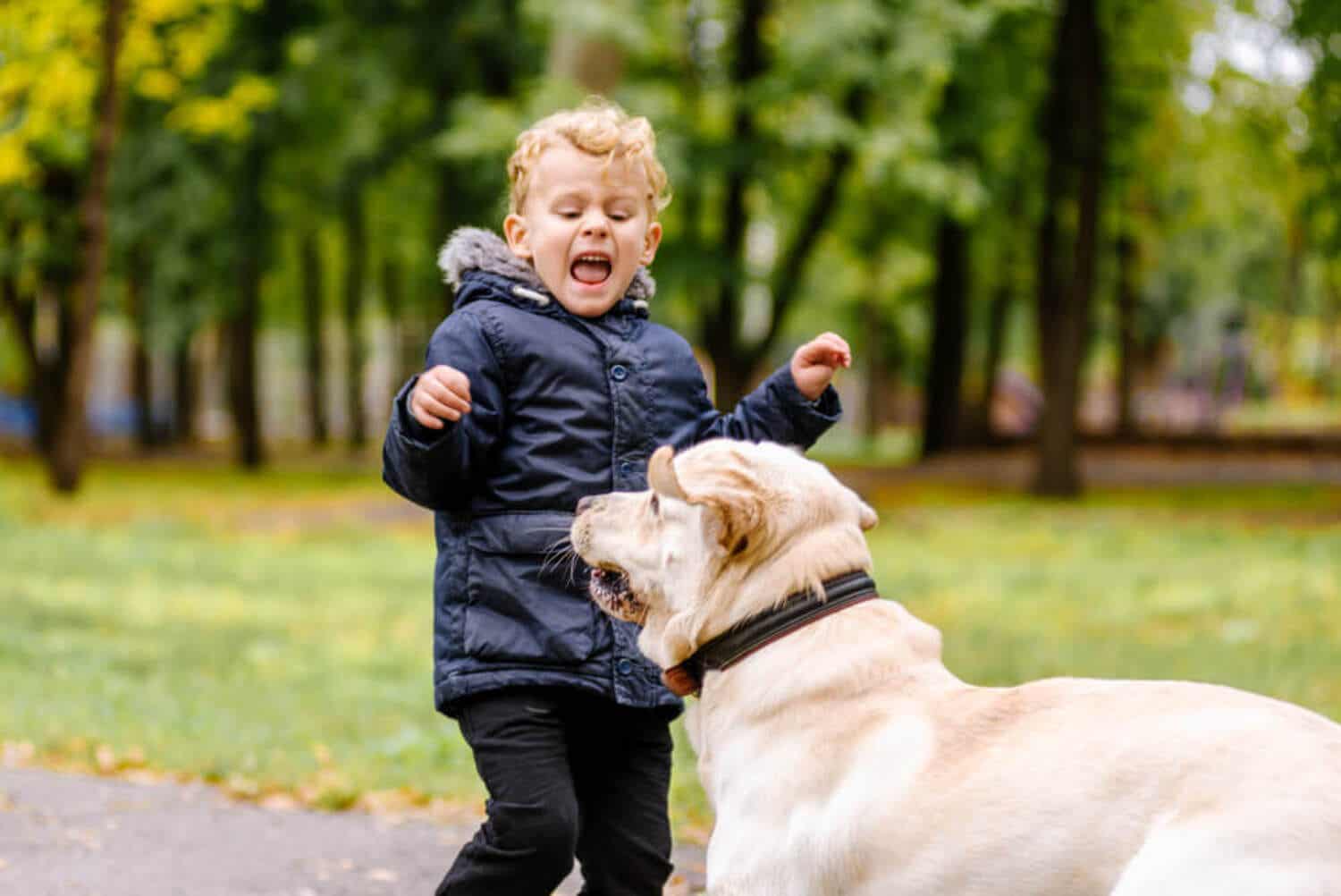 Ett barn som skräms av en hund i parken.