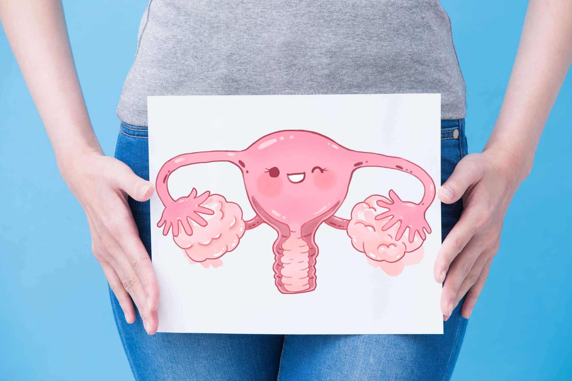 Een vrouw met een cartoonafbeelding van de vrouwelijke voortplantingsorganen over haar onderbuik.