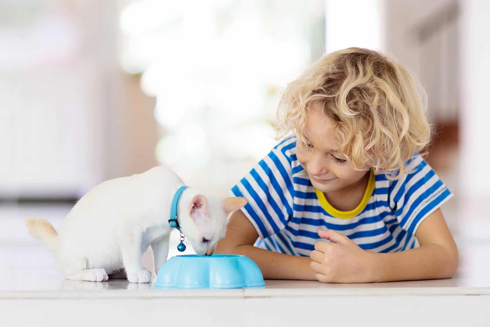 A boy feeding his cat, one of the responsibilities that a 7-year-old child can assume.