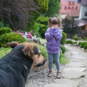 6 Things to Do if Your Child Feels Afraid